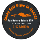 Cheap Self Drive In Ug
