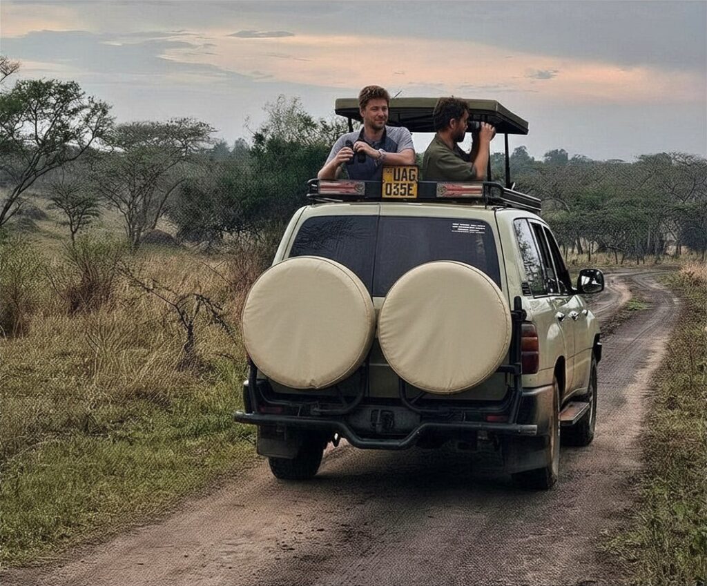 4x4 self drive car rental uganda with a popup roof for wildlife safaris